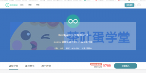 优点知识#DevOps CI/CD 实践培训 - 网盘分享 - 下载-萌萌家图书馆