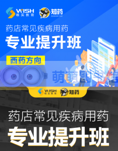 药店常见疾病用药专业提升班·西药方向 - 百度云盘 - 下载-萌萌家图书馆