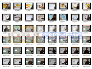 禾丰老师金锁玉关风水线上视频课程 - 百度云盘 - 下载-萌萌家图书馆