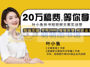 叶小鱼文案高阶训练营 14期：30天，搞定高客单价文案 - 百度云盘 - 下载-萌萌家图书馆